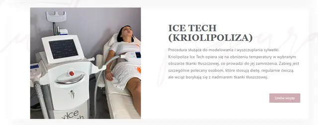 Ice Tech kriolipoliza — głowica chłodząca do redukcji lokalnej tkanki tłuszczowej w Studio Figura Włoszczowa